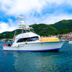 Alquiler de yates en Panamá - Rapport 47'