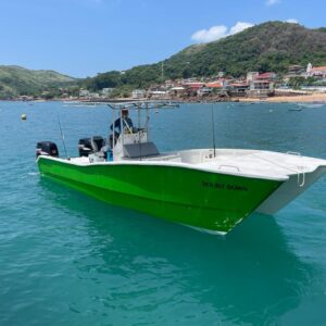 Alquiler de yates en Panamá - World Cat 27'