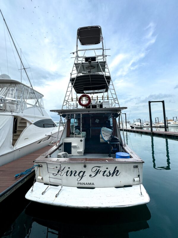 King Fish 47' - Imagen 10
