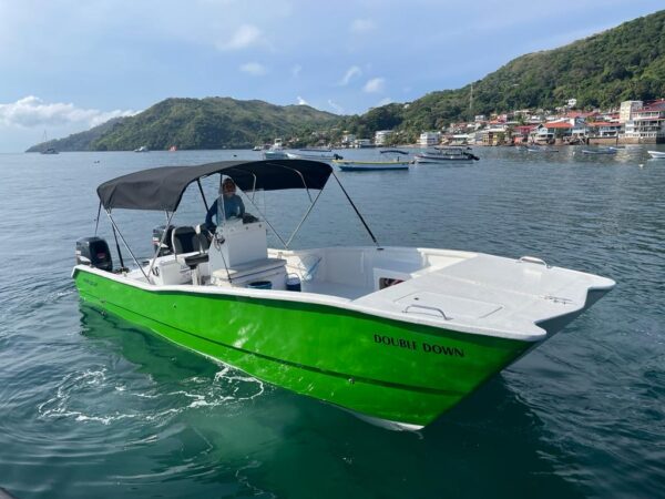 World Cat 27' - Imagen 2