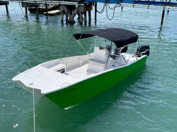 World Cat 27' - Imagen 3