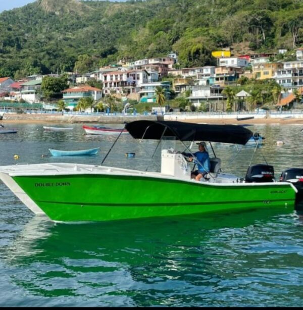 World Cat 27' - Imagen 4