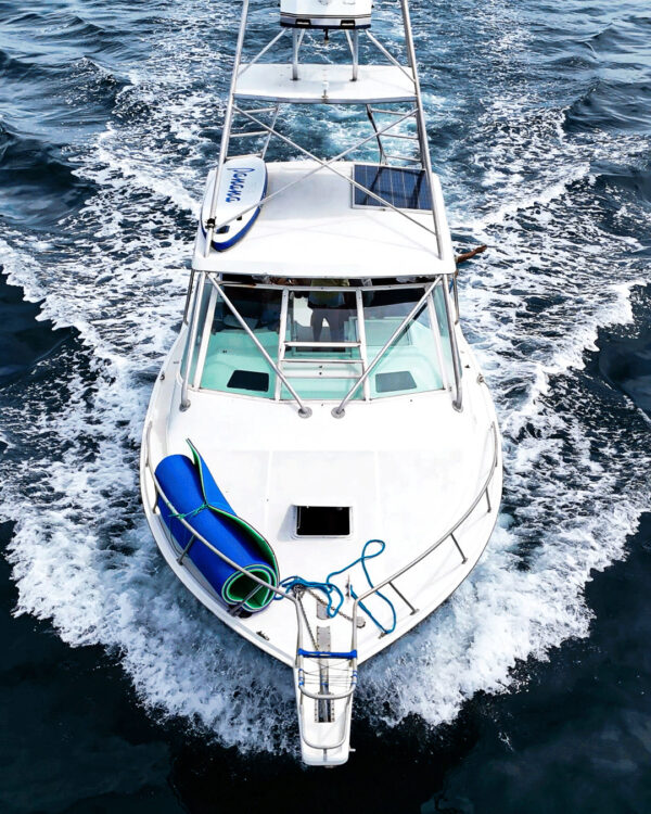 Cabo Express 35' - Imagen 5