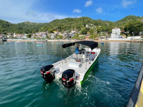 World Cat 27' - Imagen 5
