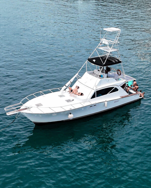 King Fish 47' - Imagen 6