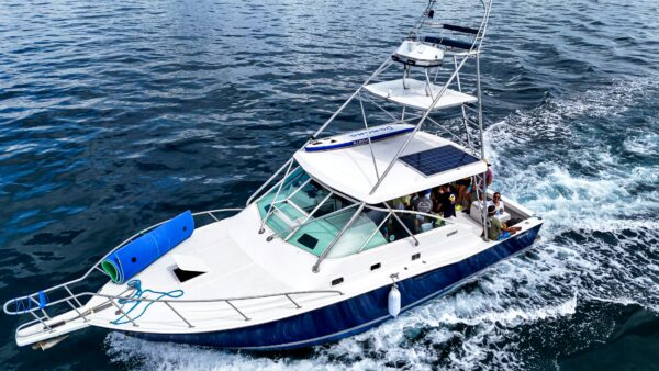 Cabo Express 35' - Imagen 6
